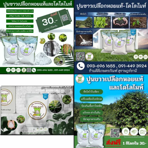 รับยิงแอด
